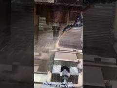 مع أدوات صناعة السينيكولوجيا الحاسوبية